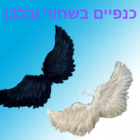 כנפיים בשחור לבן