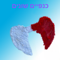 כנפיים שונים