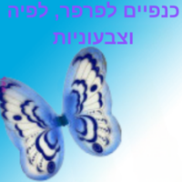 כנפיים פרפר פיה וצבעוניות
