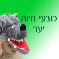 כובעי חיות יער