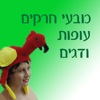 כובעי חרקים עופות ודגים