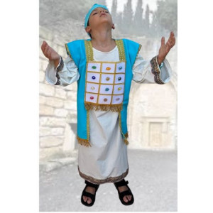אהרון הכהן''