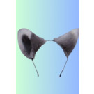 אוזני קואלה, זאב פרוותי''..