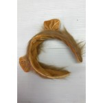 קשת לאריה / לביאה  