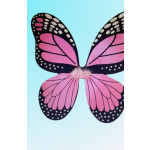 כנפי פרפר עם קשת ושרביט