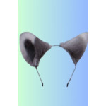 אוזני כלב ,שועל פרוותי''